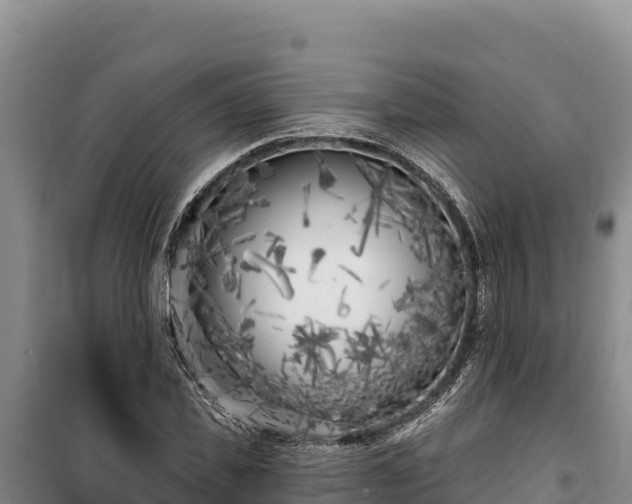 X0000100210925200806061342
