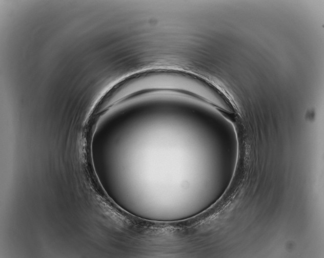 X0000100210926200806061342