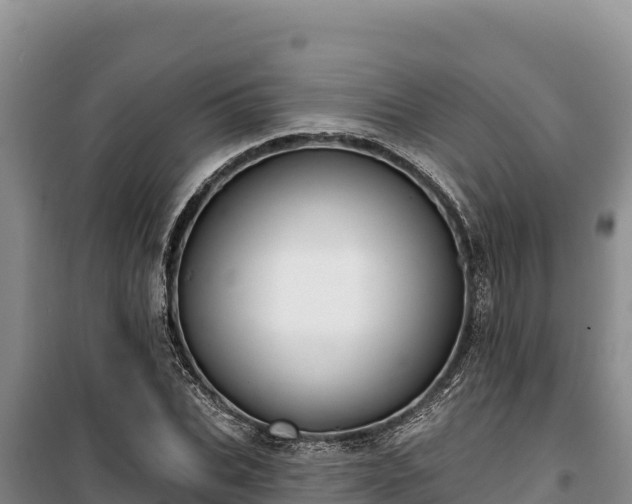 X0000100210927200806061342