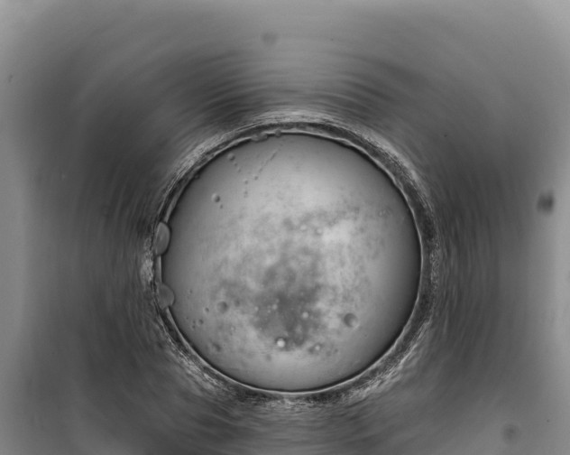 X0000100210929200806061342