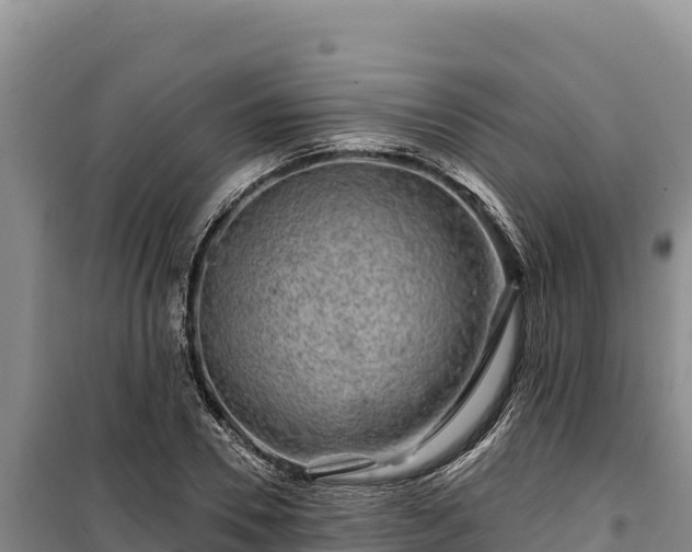 X0000100210930200806061342