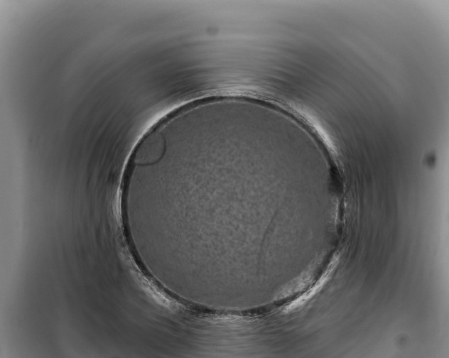 X0000100210932200806061342