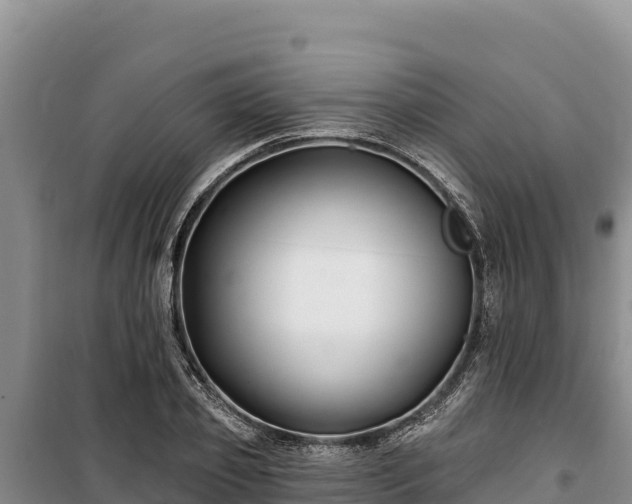 X0000100210933200806061342