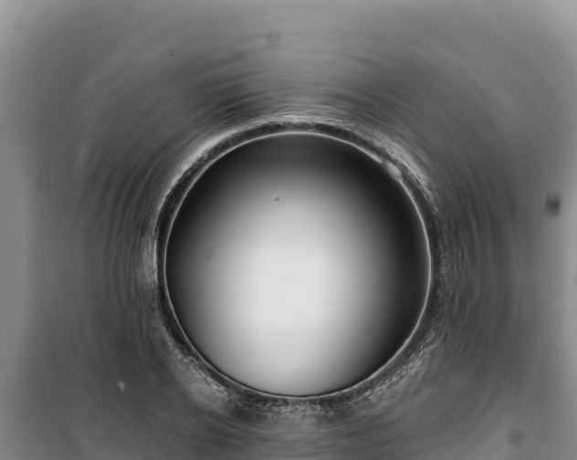 X0000100210934200806061343