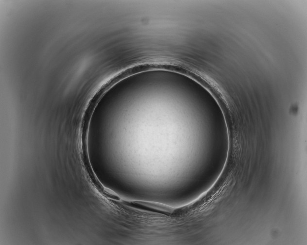 X0000100210935200806061343