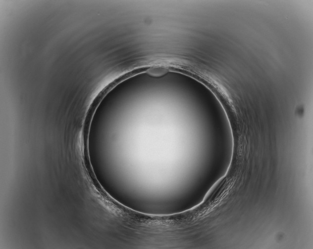 X0000100210936200806061343