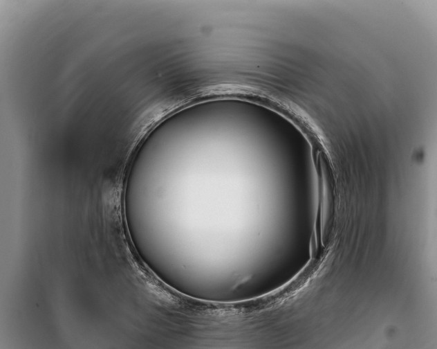 X0000100210937200806061343