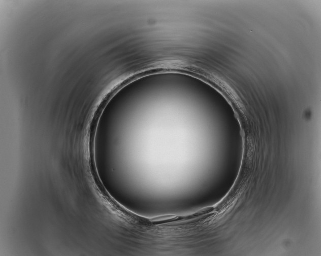 X0000100210939200806061343