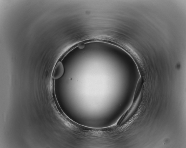 X0000100210940200806061343