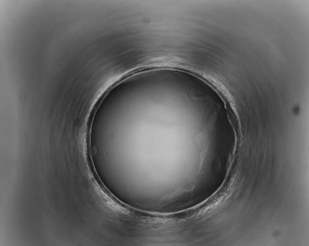 X0000100210941200806061343