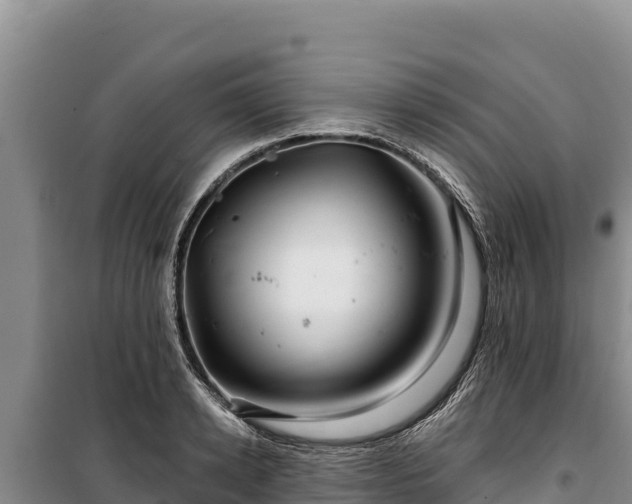 X0000100210942200806061343