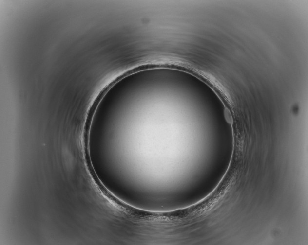 X0000100210943200806061343