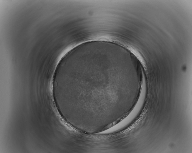 X0000100210944200806061343