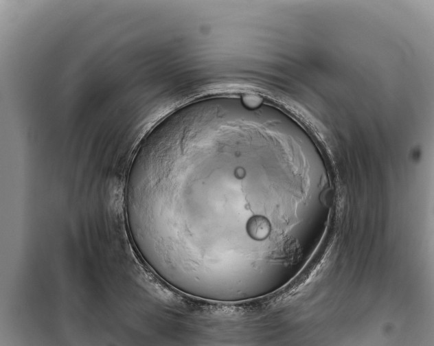 X0000100210945200806061343