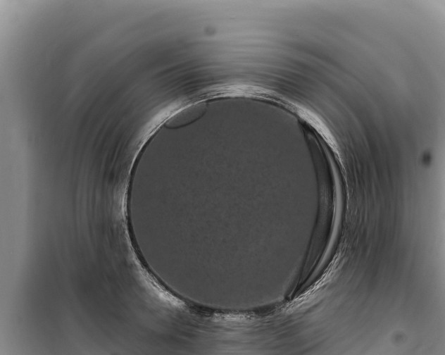 X0000100210946200806061343