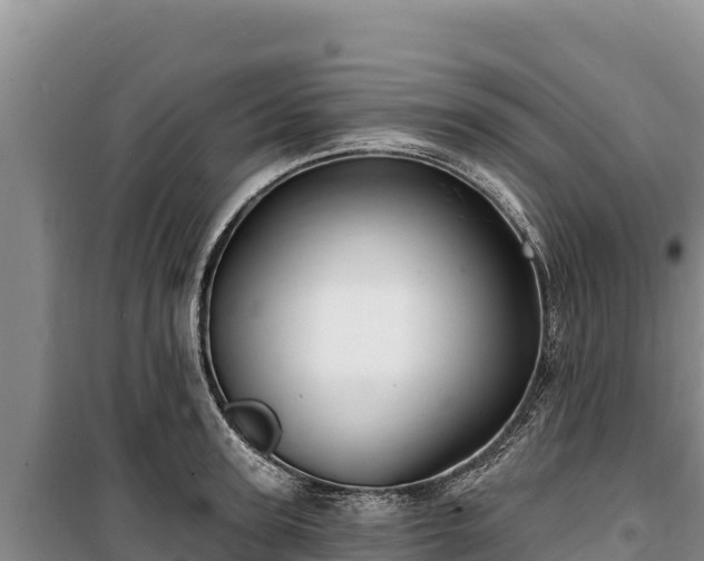 X0000100210947200806061343