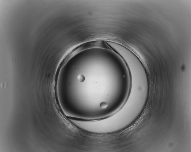 X0000100210948200806061343