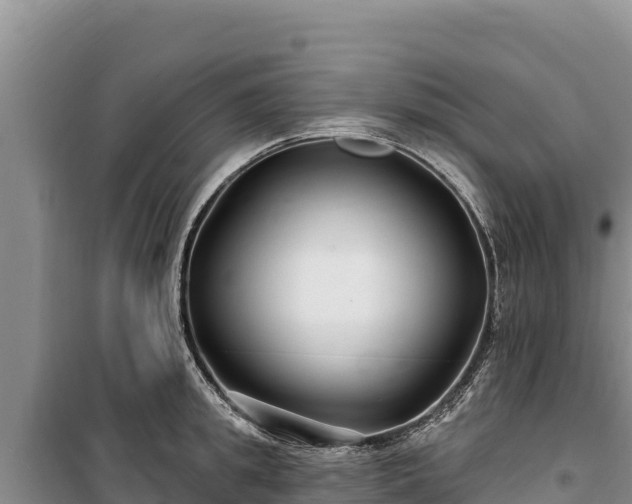 X0000100210949200806061343