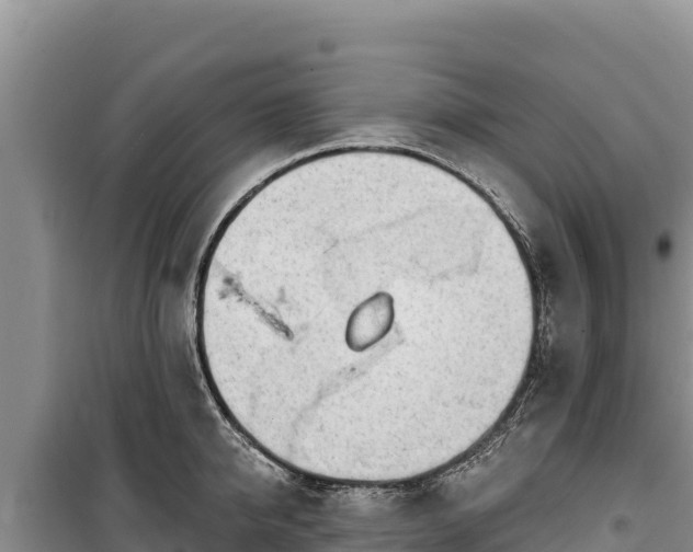 X0000100210950200806061343