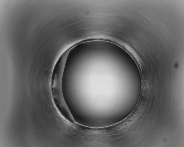 X0000100210951200806061343