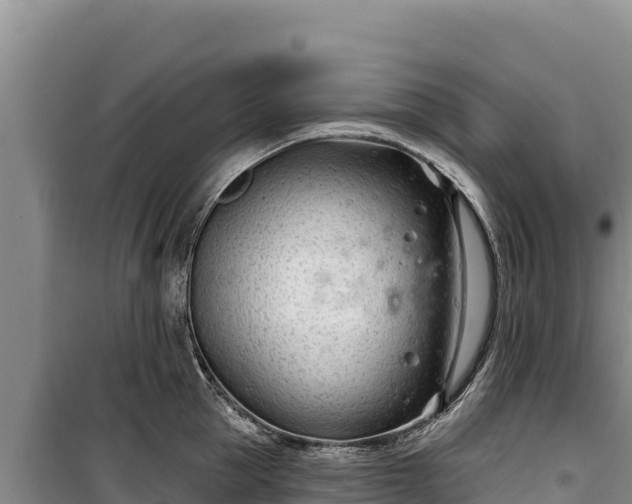 X0000100210953200806061343