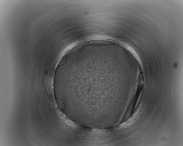 X0000100210954200806061343