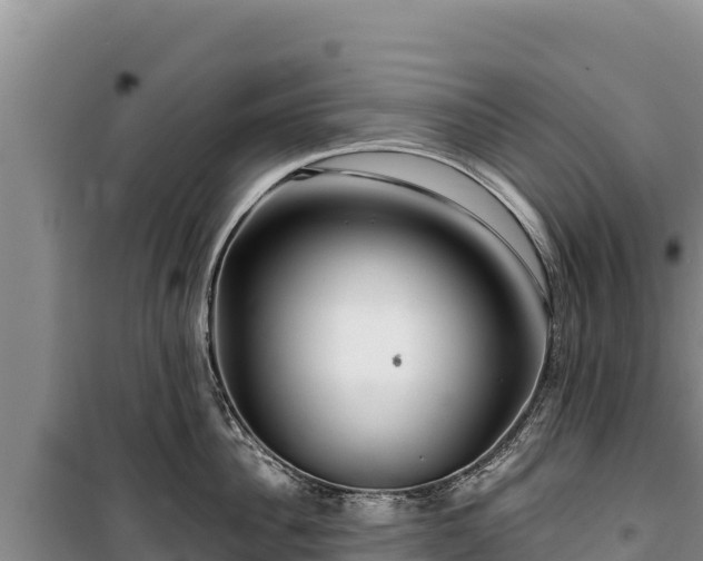 X0000100210956200806061343