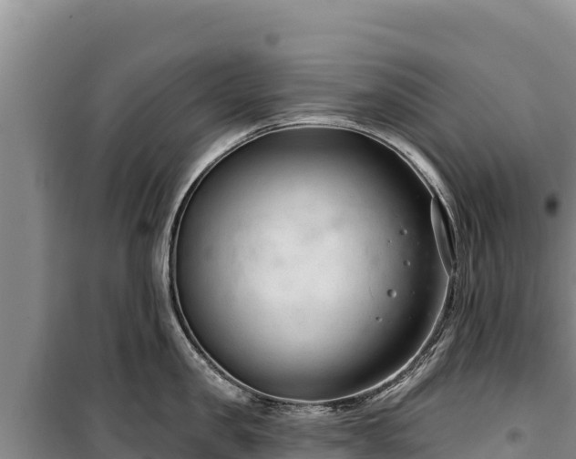 X0000100210957200806061343