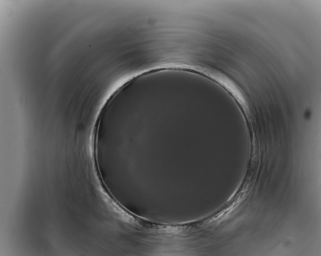 X0000100210958200806061343