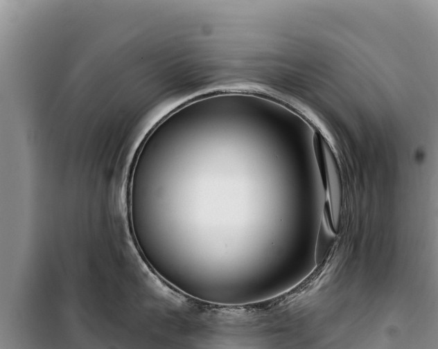 X0000100210959200806061343