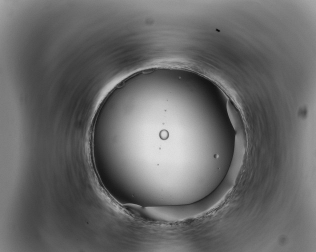 X0000100210960200806061343