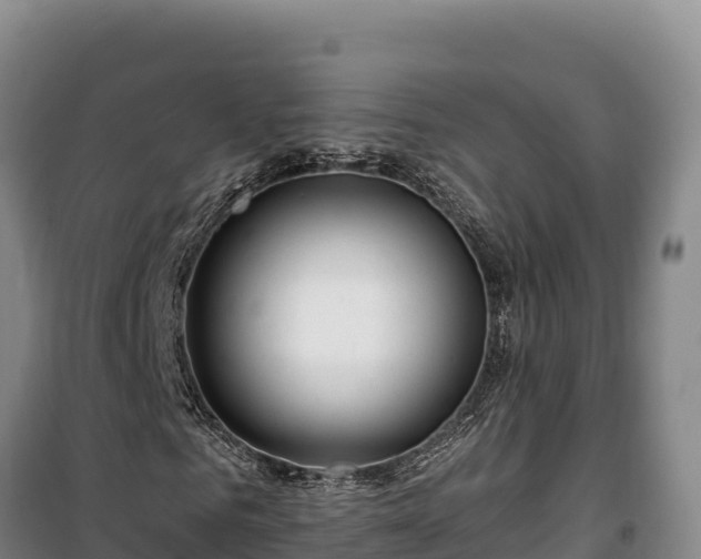 X0000100210961200806061342