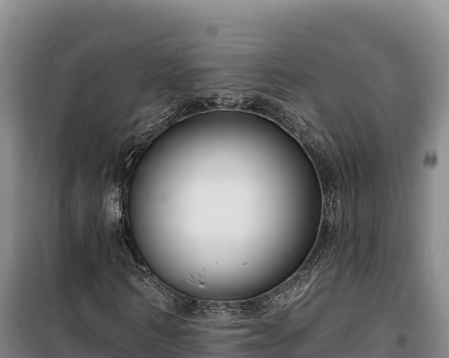 X0000100210962200806061342