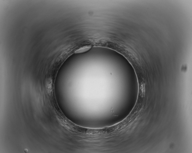 X0000100210963200806061342