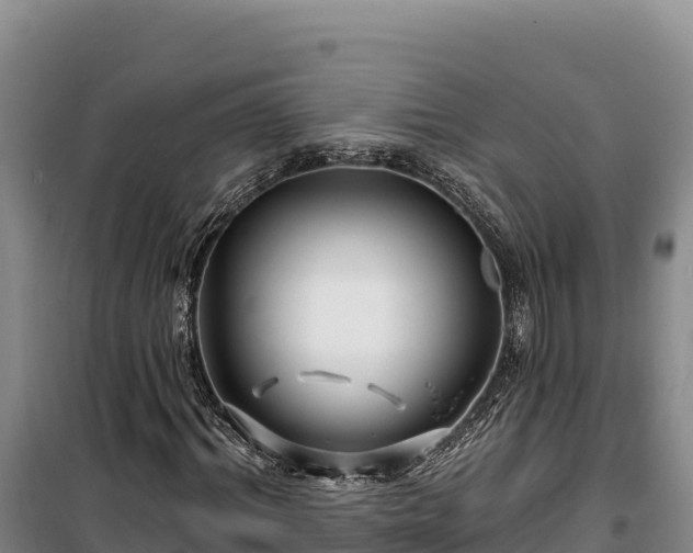 X0000100210964200806061342