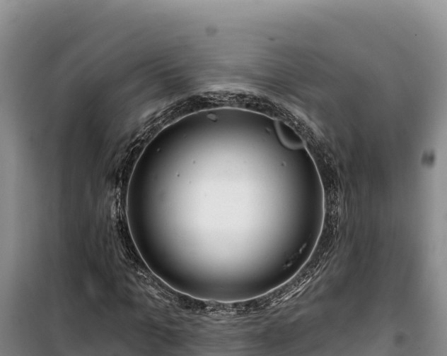 X0000100210965200806061342