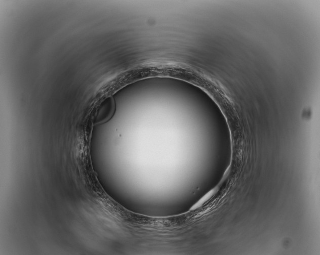 X0000100210966200806061342