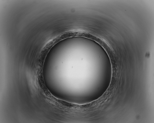 X0000100210967200806061342