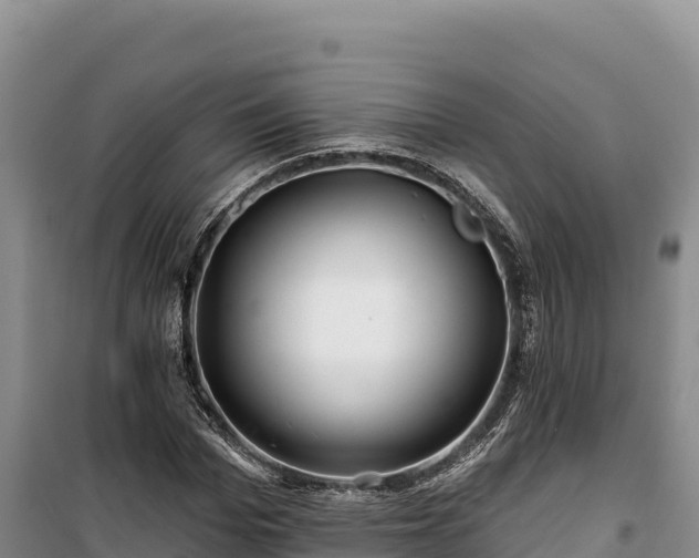 X0000100210969200806061342