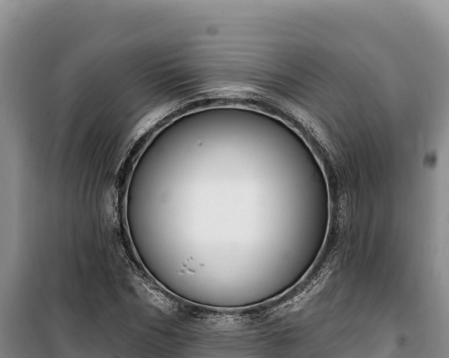 X0000100210970200806061342