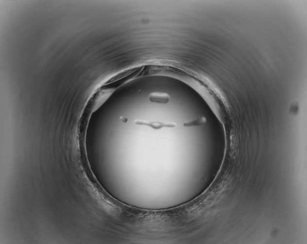 X0000100210972200806061342