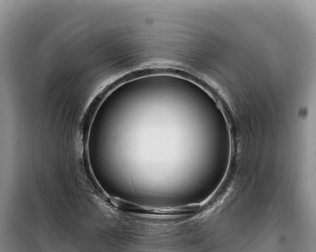 X0000100210973200806061342