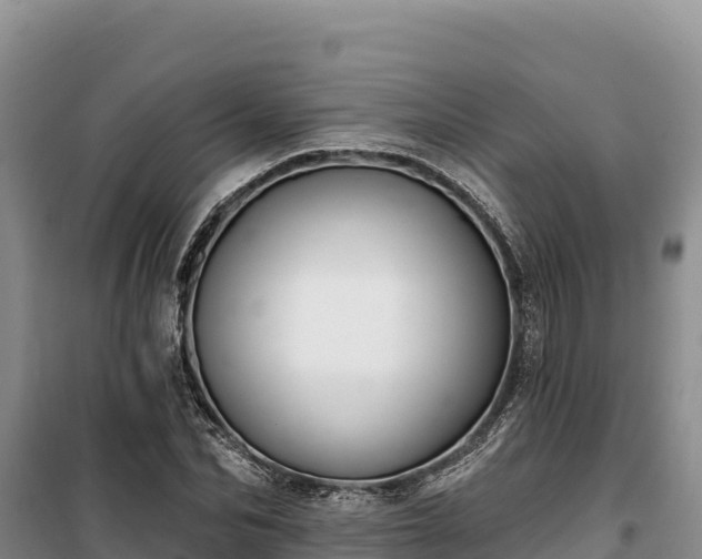 X0000100210974200806061342