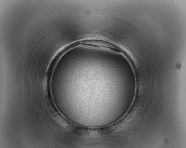 X0000100210975200806061342