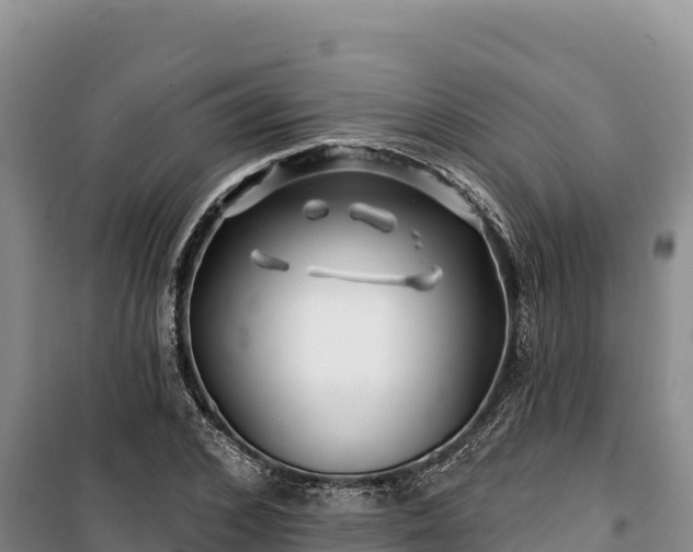 X0000100210976200806061342