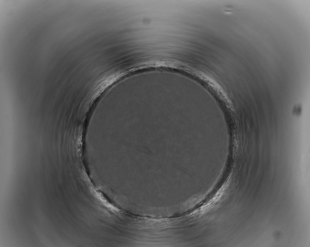 X0000100210977200806061342