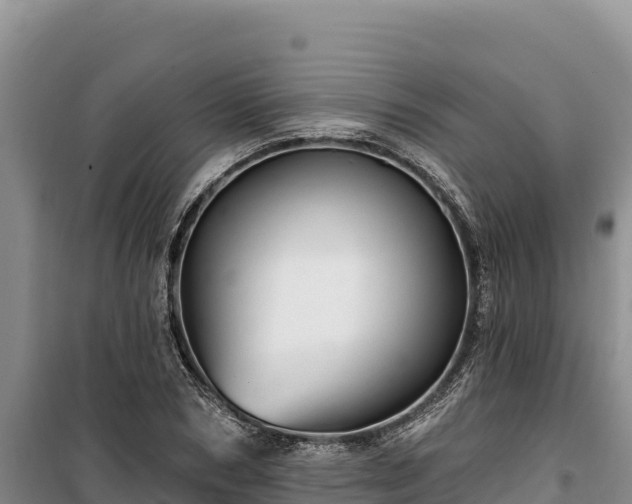 X0000100210978200806061342