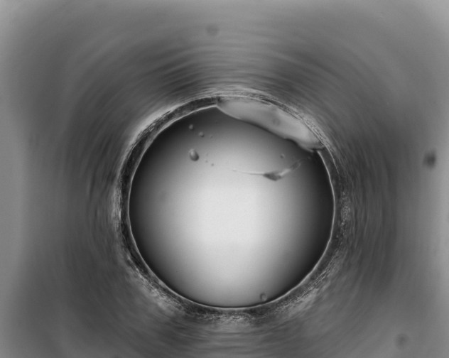 X0000100210979200806061342