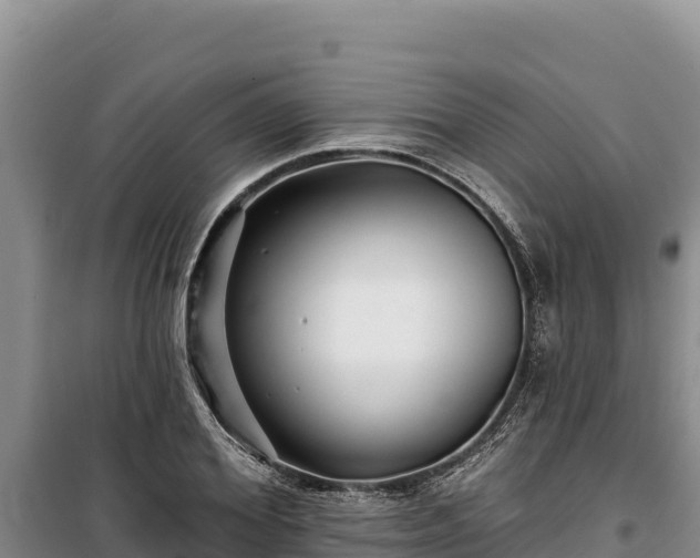 X0000100210980200806061342