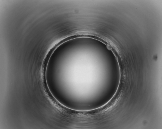 X0000100210981200806061342